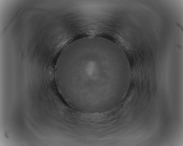 X0000091700043200708311103