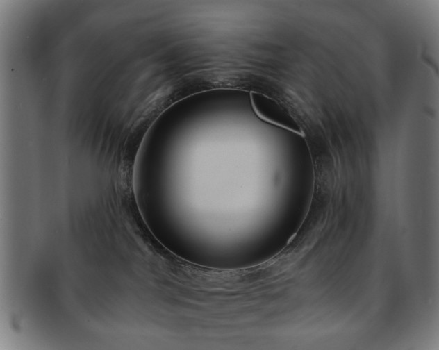X0000091700044200708311103