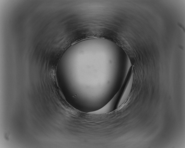 X0000091700045200708311103