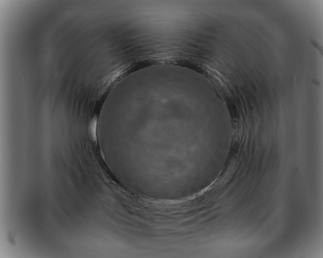 X0000091700047200708311103