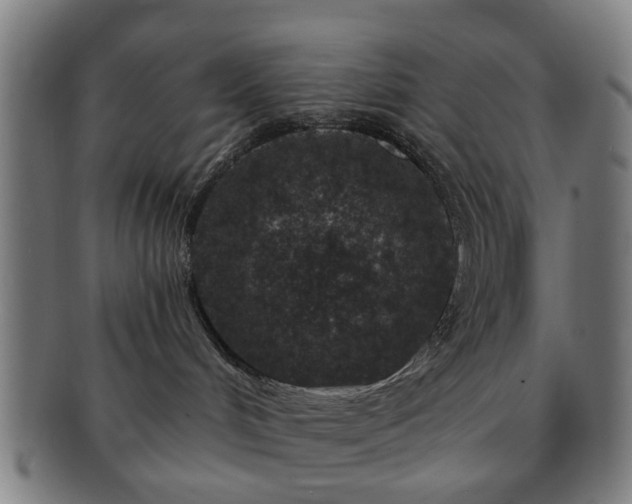 X0000091700048200708311103