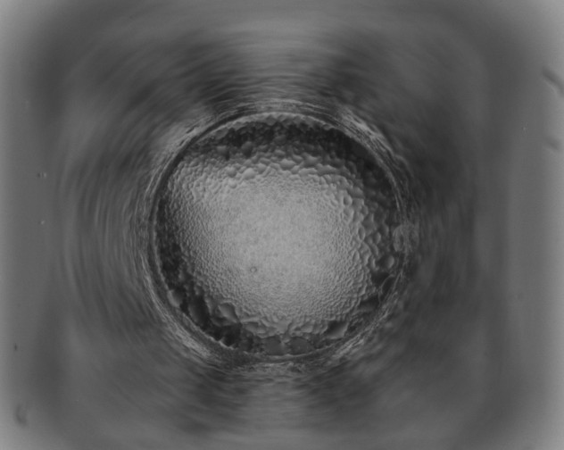 X0000091700049200708311102