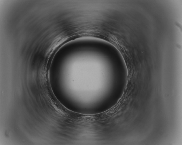 X0000091700050200708311102