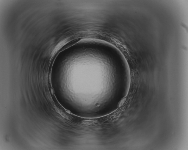 X0000091700051200708311102