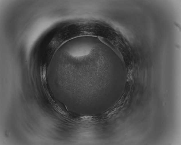 X0000091700052200708311102