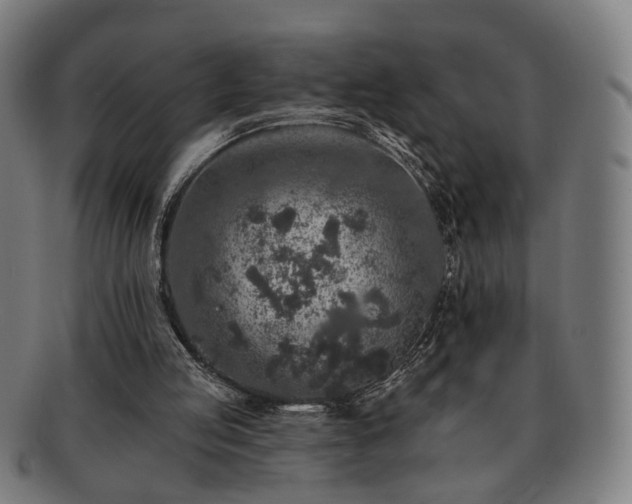 X0000091700053200708311102