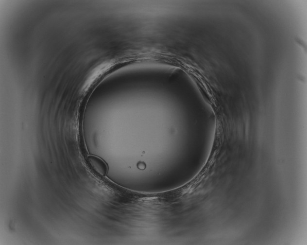 X0000091700054200708311102