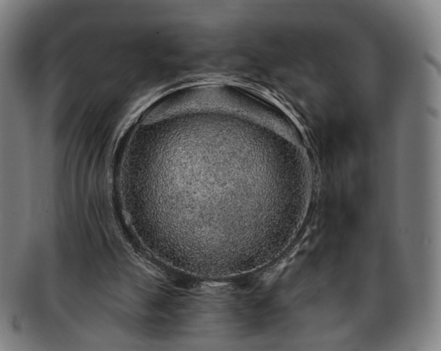 X0000091700055200708311102