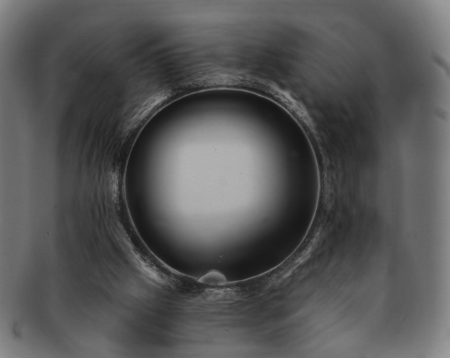 X0000091700057200708311102
