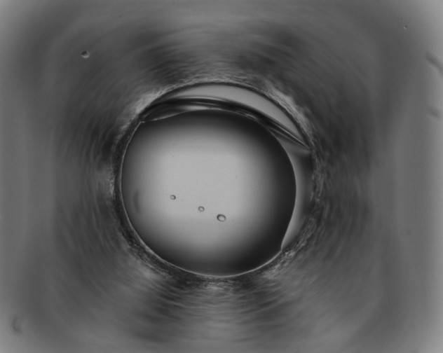 X0000091700060200708311102