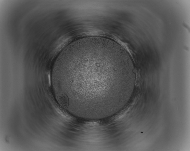 X0000091700061200708311102