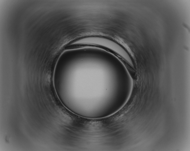X0000091700063200708311102