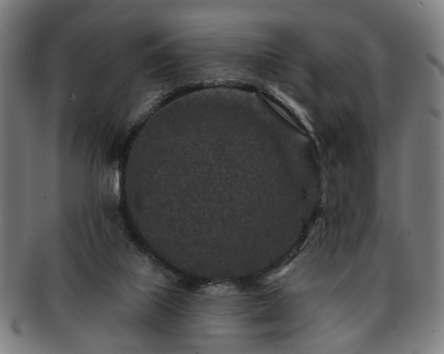X0000091700067200708311102