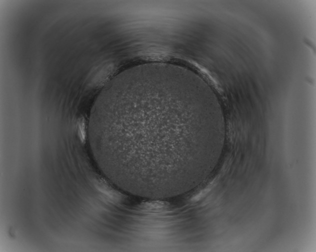 X0000091700069200708311102