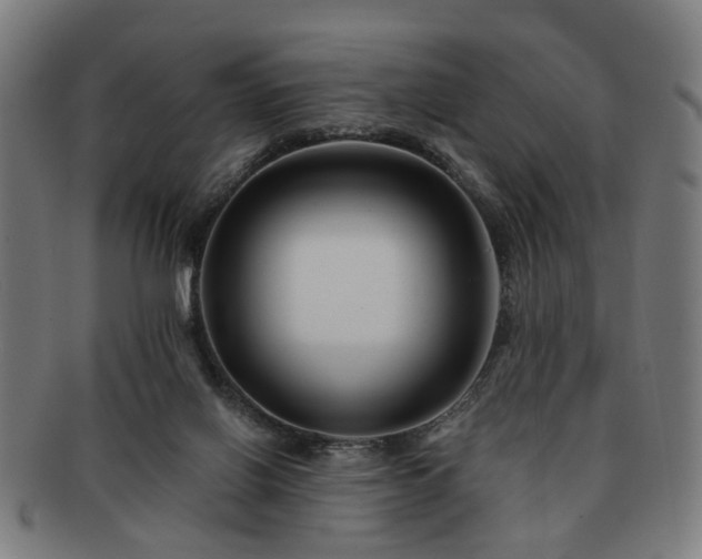 X0000091700070200708311102