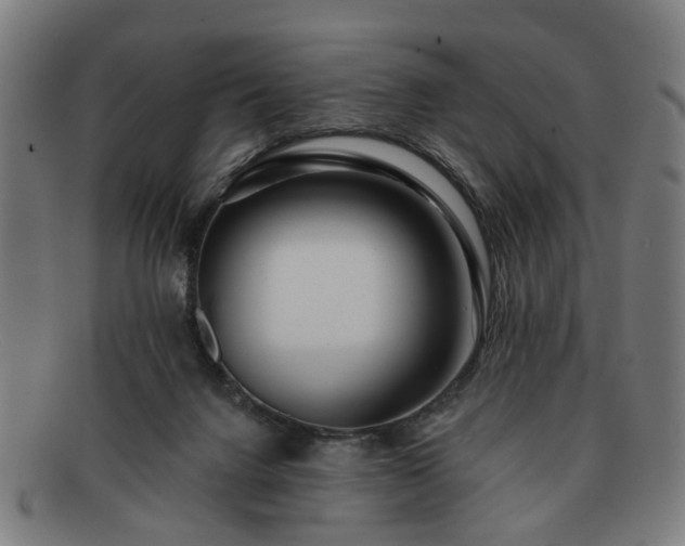 X0000091700072200708311102