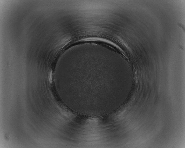X0000091700076200708311102
