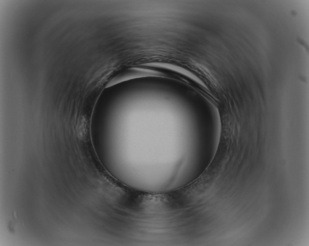 X0000091700077200708311102