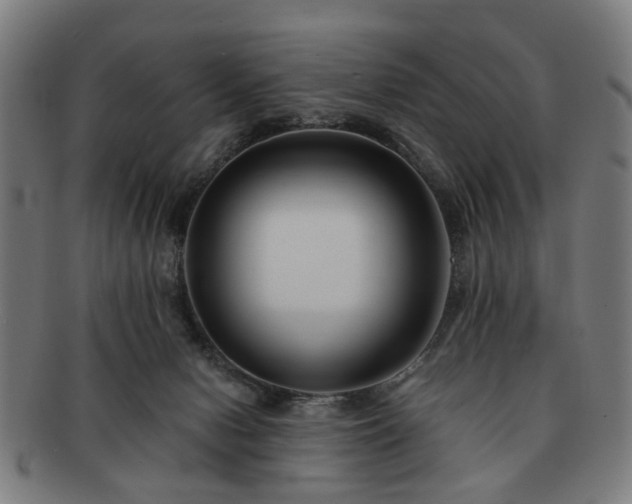 X0000091700078200708311102