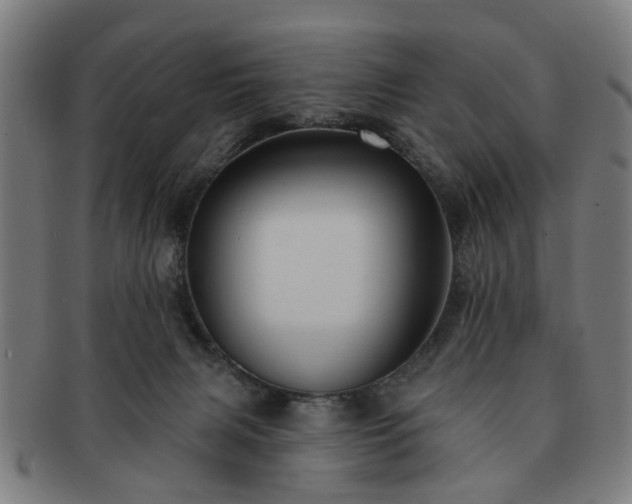 X0000091700079200708311102