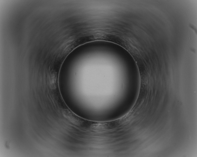 X0000091700082200708311102