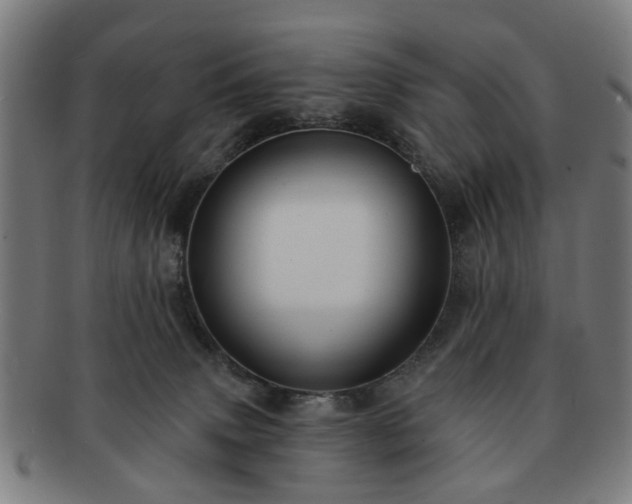 X0000091700083200708311102