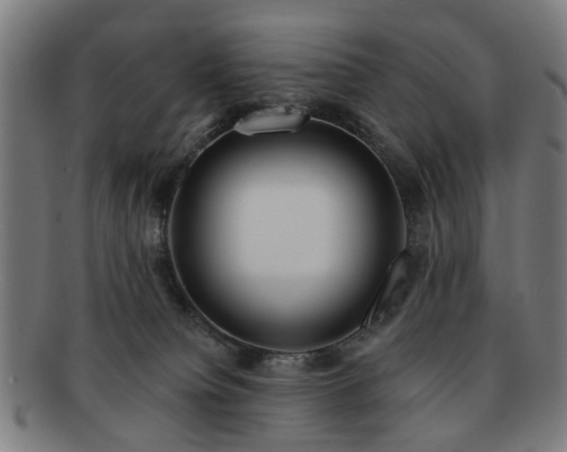 X0000091700084200708311102