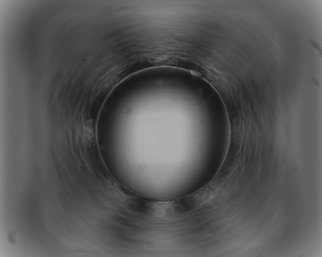 X0000091700085200708311102