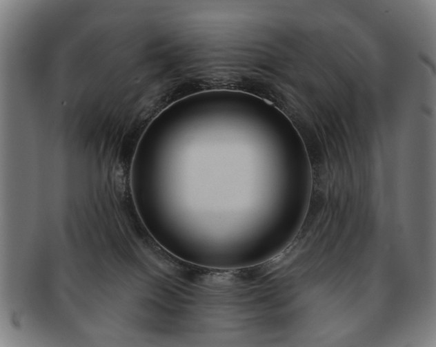 X0000091700086200708311102