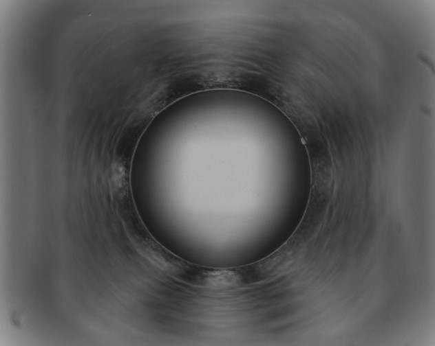 X0000091700087200708311102