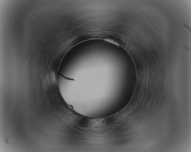 X0000091700089200708311102