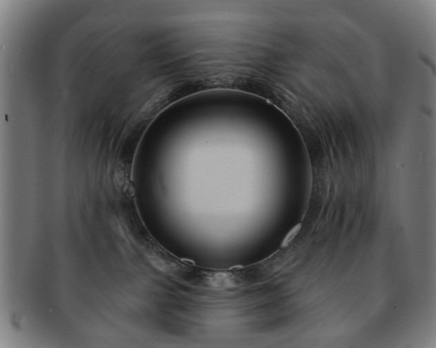 X0000091700091200708311102