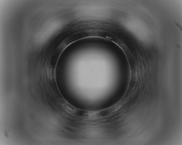 X0000091700093200708311103