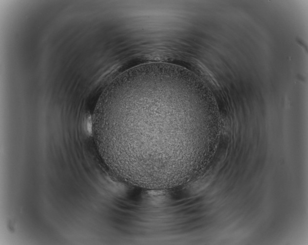 X0000091700095200708311103