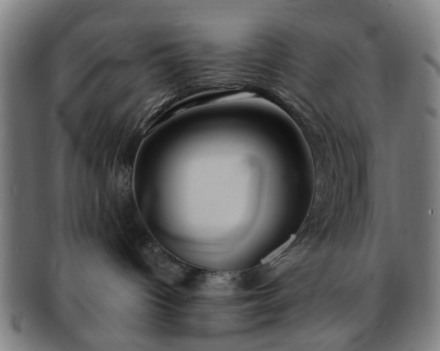 X0000091700096200708311103