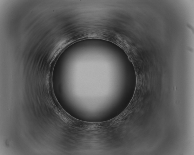 X0000091700098200708311102
