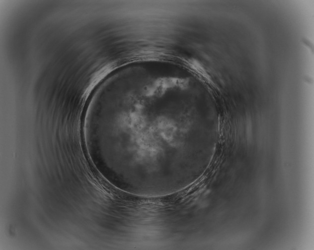 X0000091700099200708311102