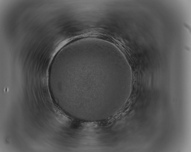 X0000091700100200708311102