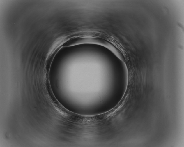 X0000091700101200708311102