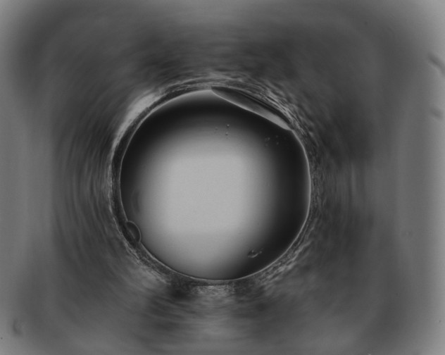 X0000091700102200708311102