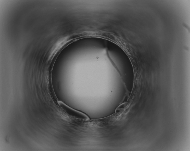 X0000091700103200708311102