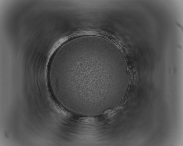 X0000091700104200708311102
