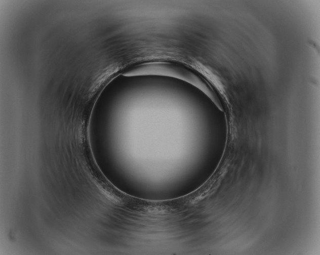 X0000091700105200708311102