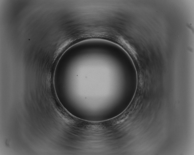 X0000091700107200708311102