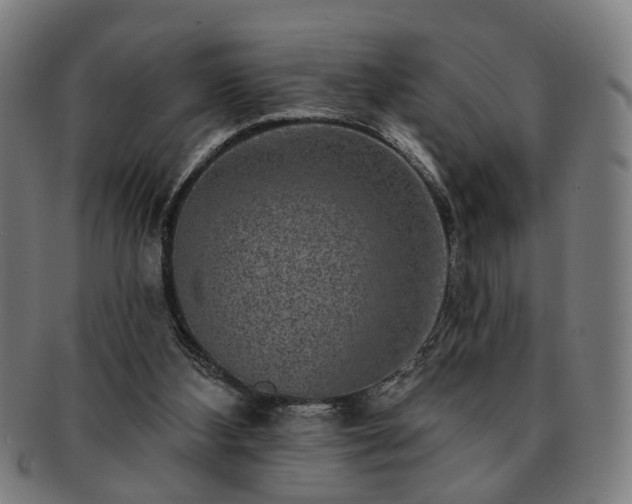 X0000091700108200708311102