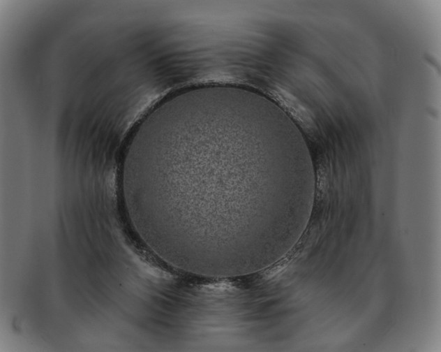 X0000091700112200708311102