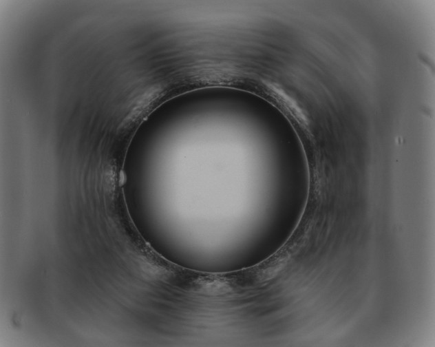 X0000091700113200708311102