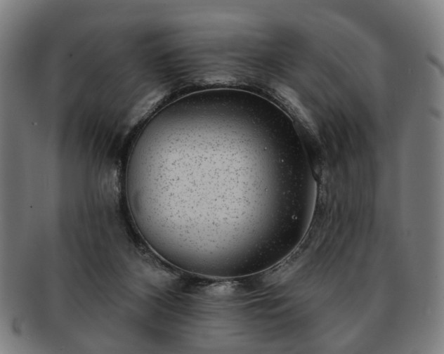 X0000091700116200708311102