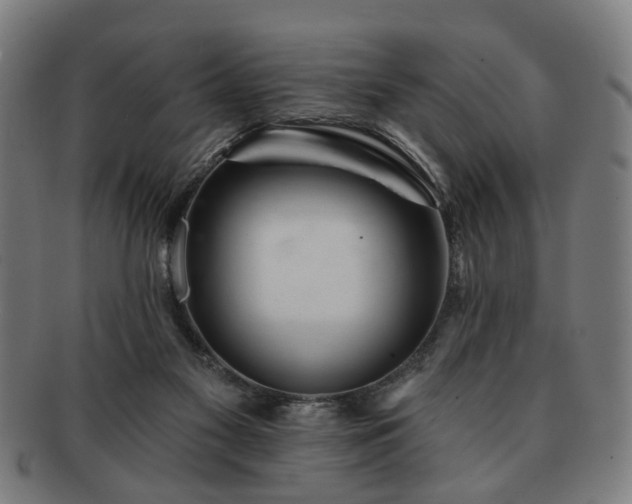 X0000091700117200708311102