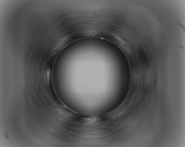 X0000091700118200708311102